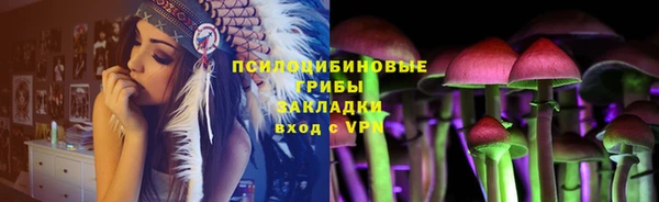 ALPHA PVP Новодвинск