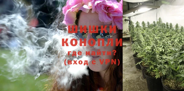 ALPHA PVP Новодвинск